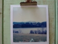 Niedersonthofner See 02.17 Polaroid